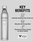 KENRA - Kenra Shampoing Volume Dry - 53 Karat